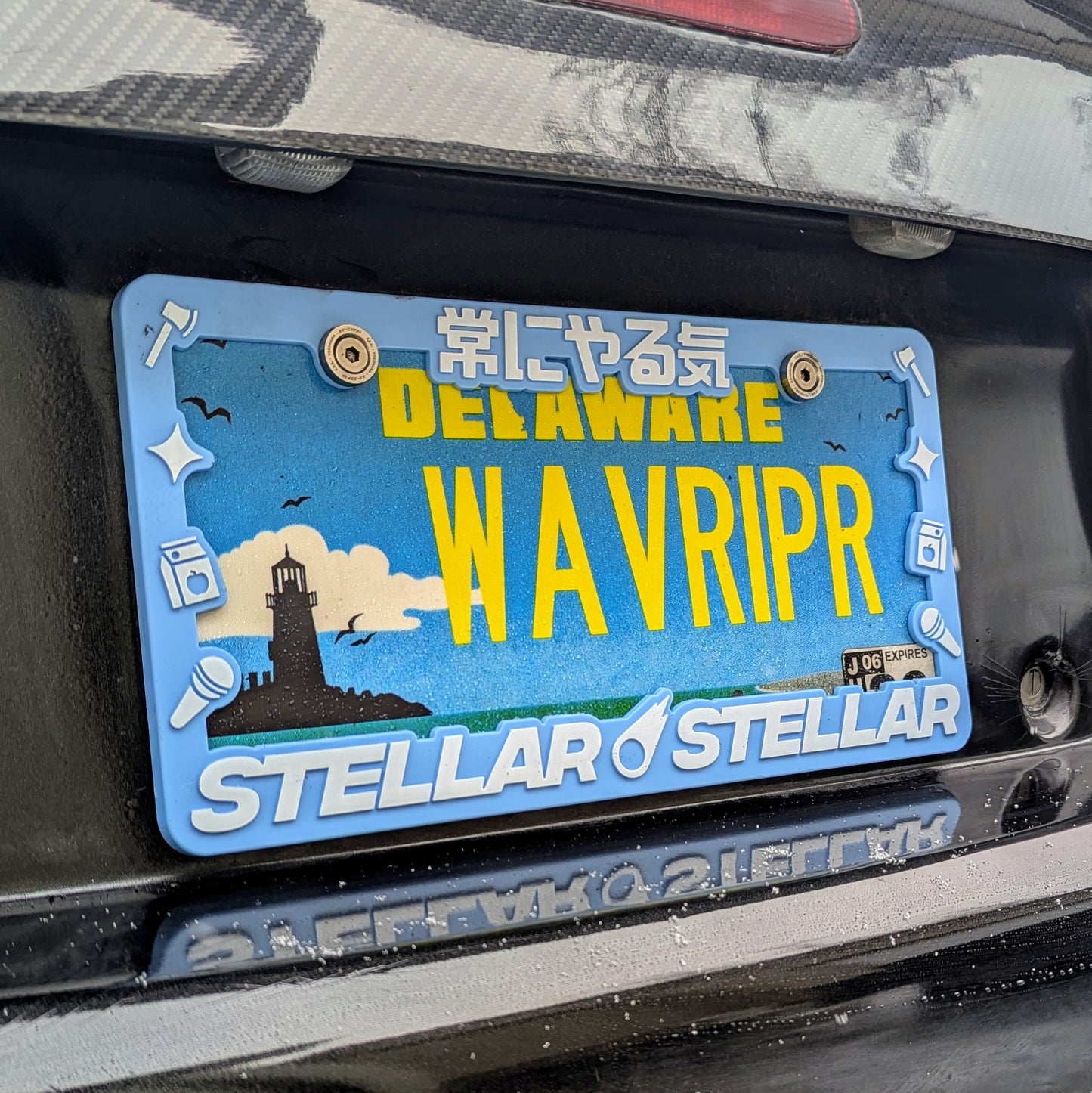 Stellar Stellar Plate Frame