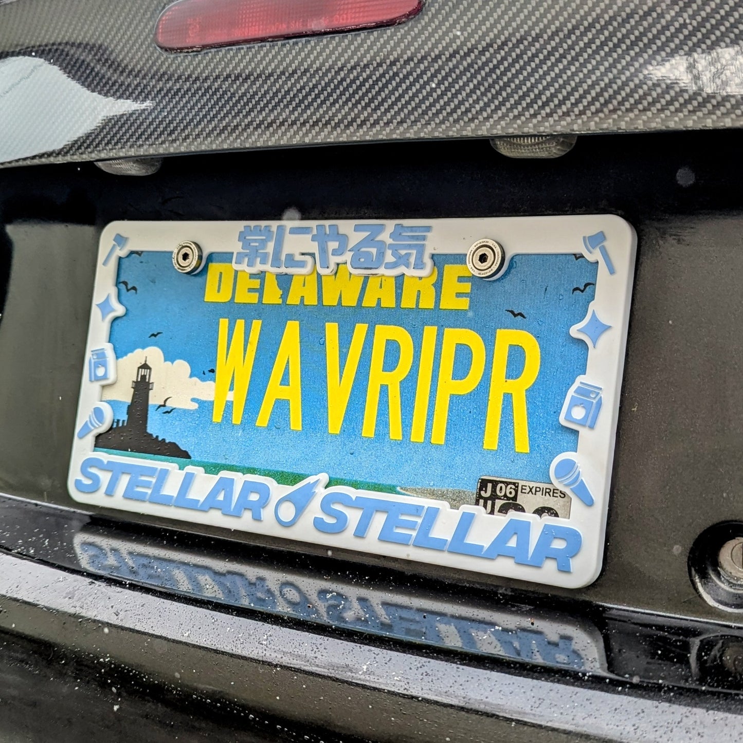 Stellar Stellar Plate Frame