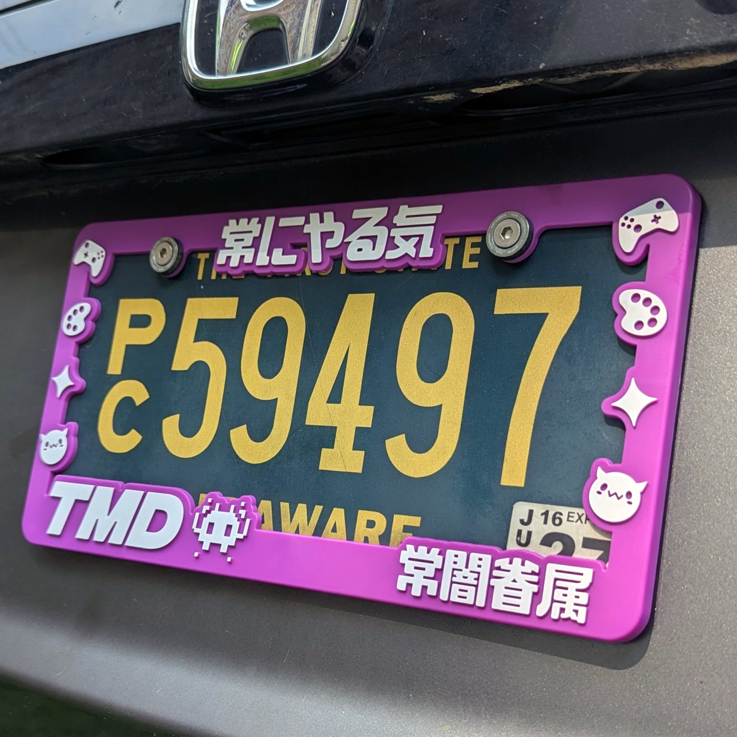 TMD Plate Frame