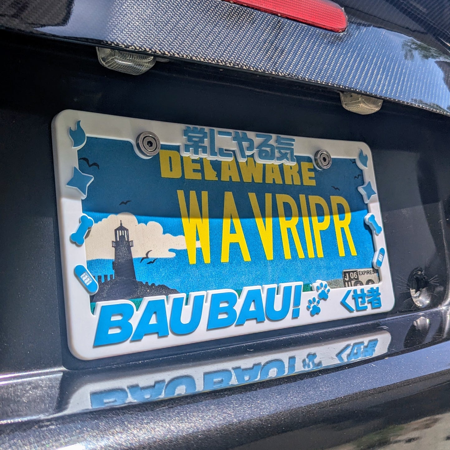 FWMC Plate Frame