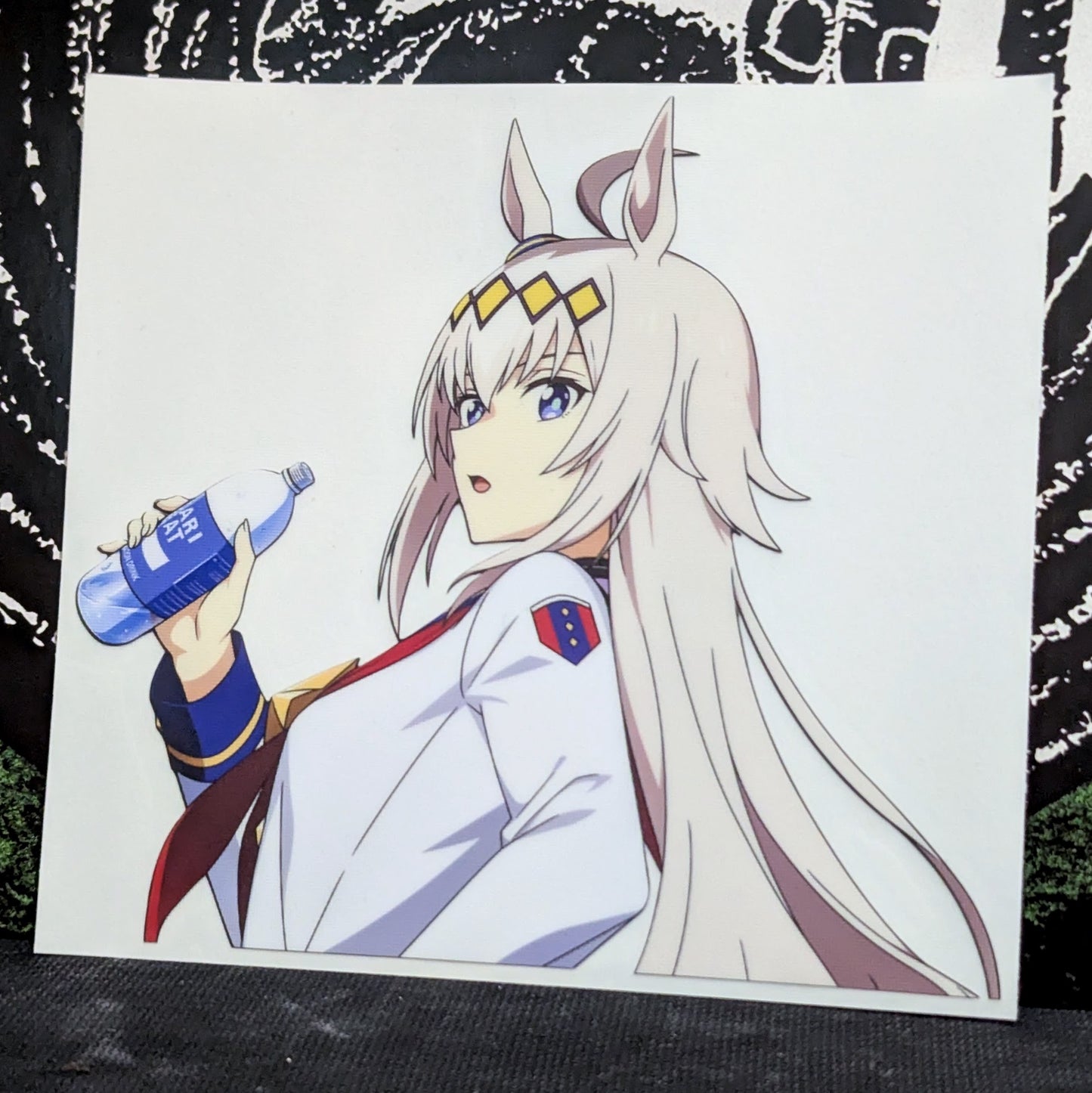 Cinderella Gray